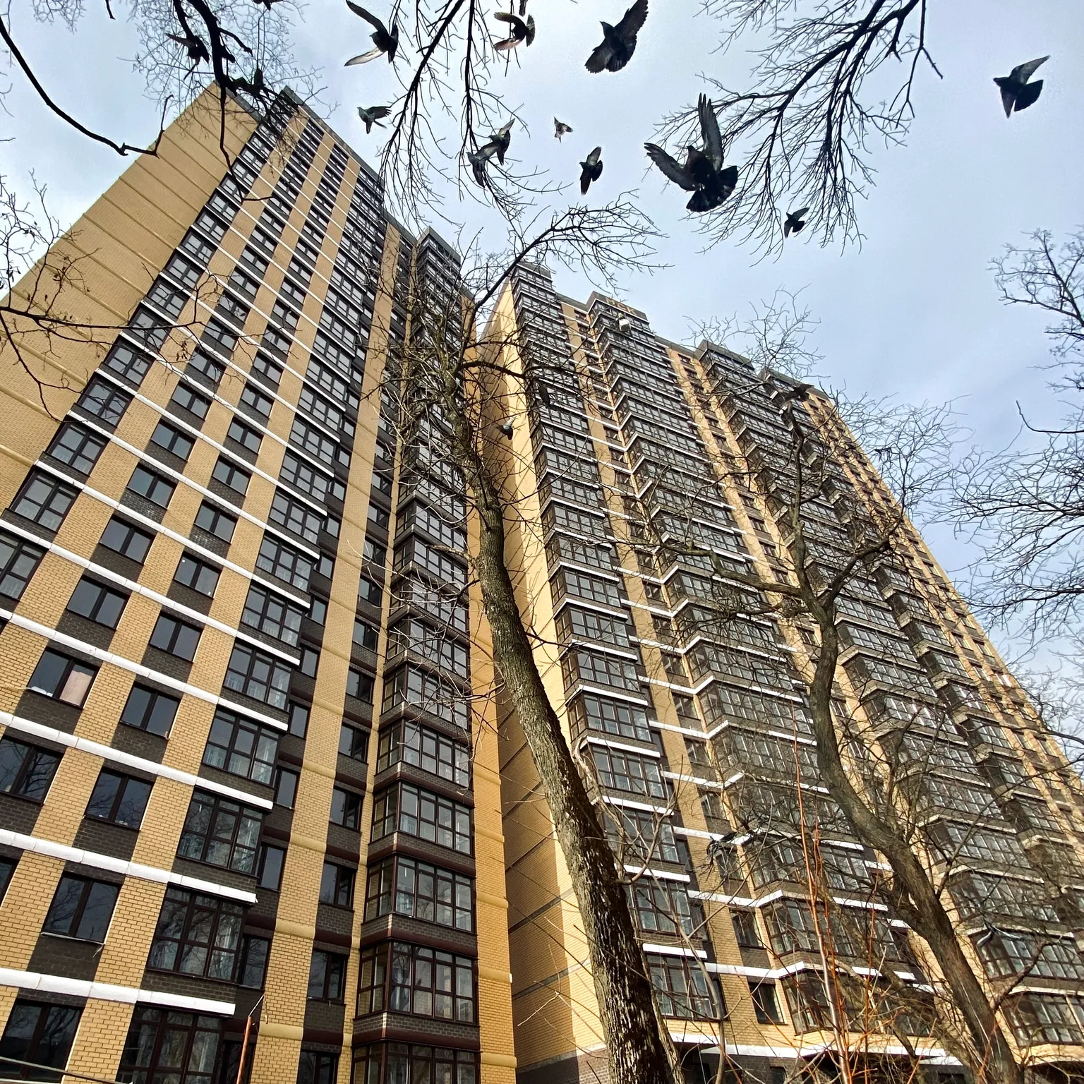 Изображениеновости