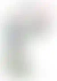 Слайд с планом