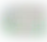 Слайд с планом