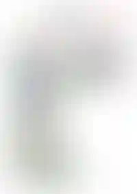 Слайд с планом