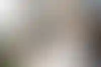 Изображение проекта