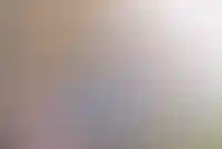 Изображение проекта