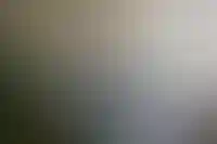 Изображение слайда