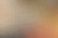 Изображение слайда