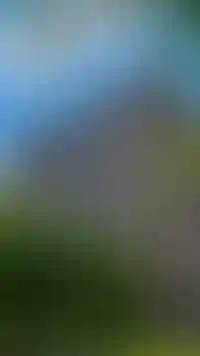 Изображение поста в социальной сети