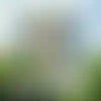 Этап строительства проекта