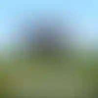 Этап строительства проекта