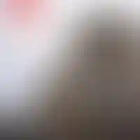 Динамика строительства ЖК «Донской Арбат 2» на 30 декабря 2025 года.