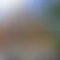 Этап строительства проекта