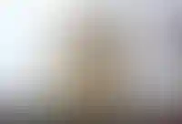 ccba3f8d0b345f944a590cb1c58f14f93c4c04e8 (1)