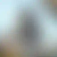 Этап строительства проекта