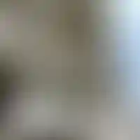 Динамика строительства ЖК Royal Towers на 31 августа 2025 года