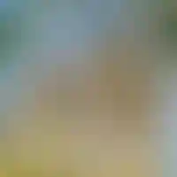 Этап строительства проекта