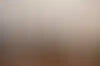 Изображение слайда