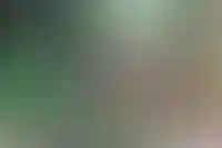 Изображение слайда