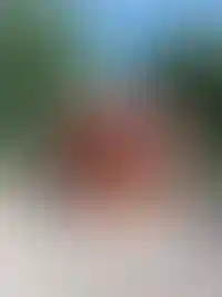 Изображение карточки