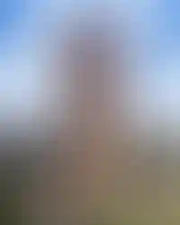 Изображение проекта