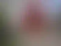 Изображение карточки