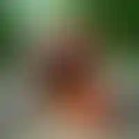 Изображение карточки