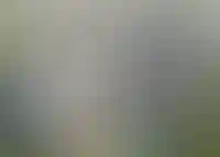 Изображение проекта