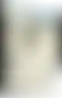 Изображение для табов