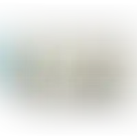 Слайд с планом