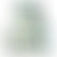 Слайд с планом