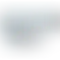 Слайд с планом