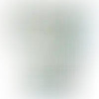 Слайд с планом