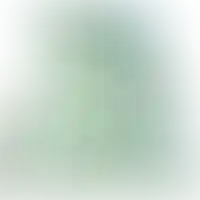 Слайд с планом