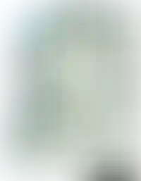 Слайд с планом