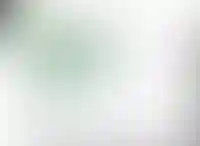 Слайд с планом