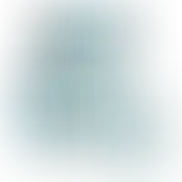 Слайд с планом