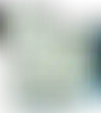 Слайд с планом