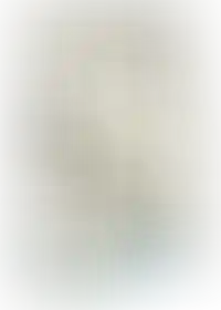 Слайд с планом