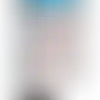 Слайд с планом