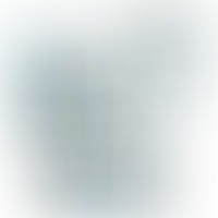 Слайд с планом