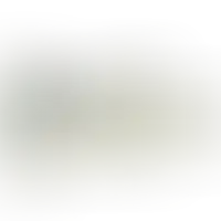 Слайд с планом