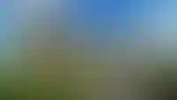 Изображение слайда