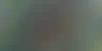 Изображение проекта