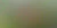 Изображение проекта