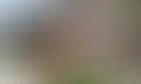 Изображение проекта